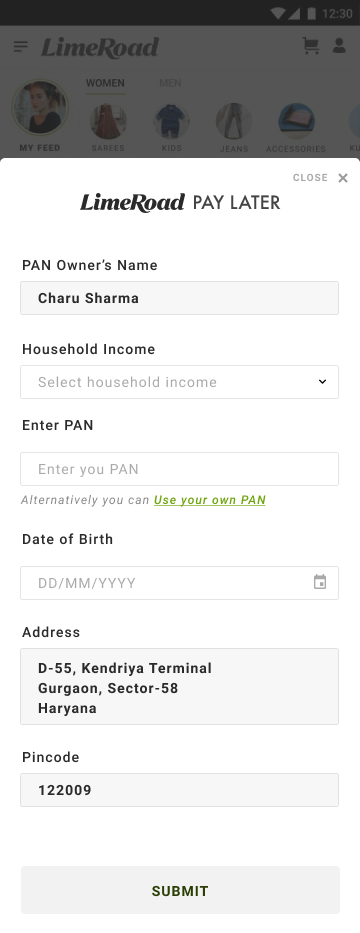 Pay Later identity form with fields for PAN owner's name, household income, PAN, date of birth, address and pincode.